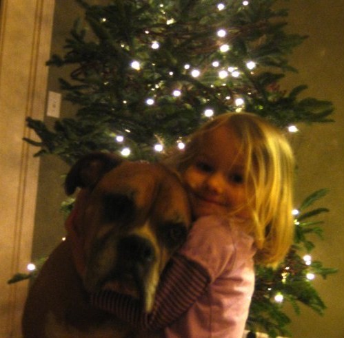 n513098956_1725919_8520