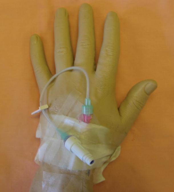 image source:  http://employees.csbsju.edu/mbyrne/IVSite/ImportedIVPhotos/Lab%20Photos%207-30-07%20054.jpg